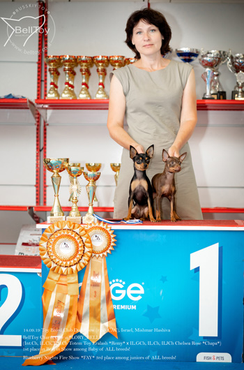 14.09.2019 Двойная клубная выставка собак
