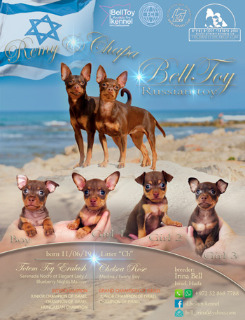 11.06.2019 У нас родились щенки