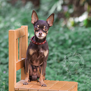 *Diesel ot Valaris *Dyusha