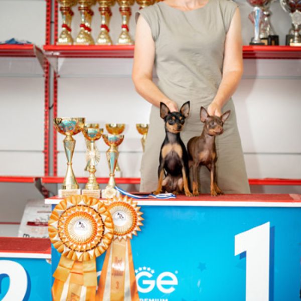 החוג לכלבים זעירים - תערוכה הכפולה 14.10.2019