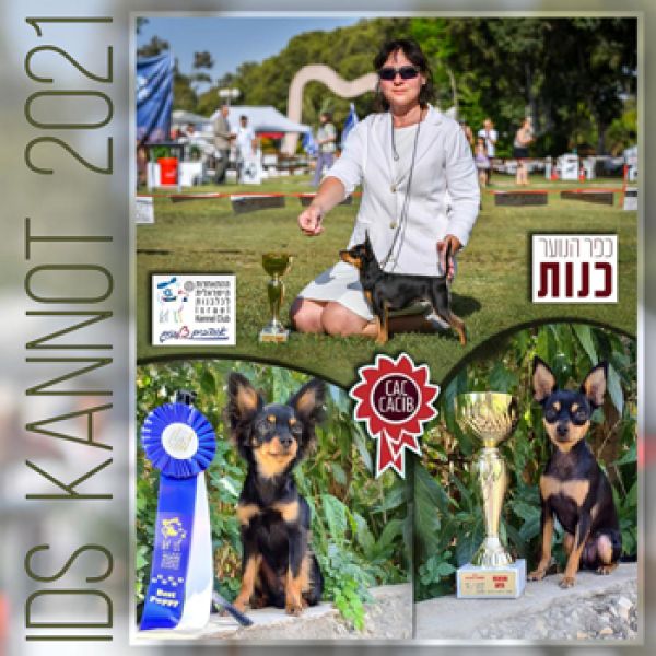 תערוכה בינלאומית כנות 28.05.2021