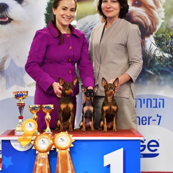 החוג לכלבים זעירים - תערוכה הכפולה 08.12.2018