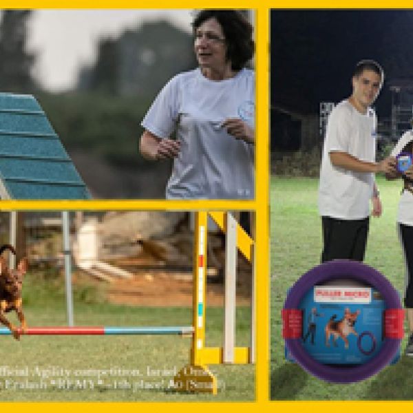 טוי רוסי בספורט הכלבני 13.09.2019