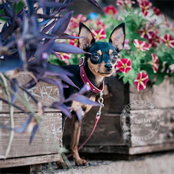 Blueberry Nights Fire Show *Fay*