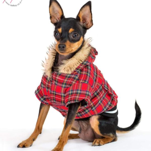 הטוי הרוסי שלנו מדגמנים לקטלוג חורף 2020