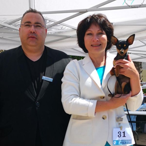 תערוכה בינלאומית תחת תקיפה אווירית בכנות 05.04.2019