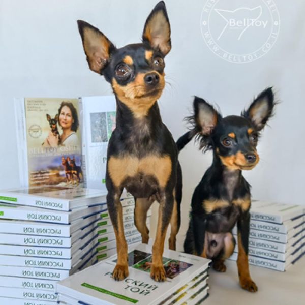 אנחנו בספר על גזע הטוי הרוסי 26.01.2021