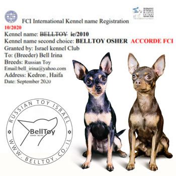 01.10.2020 BellToy Osher - официальный питомник FCI
